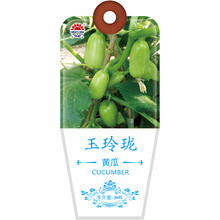 北京东升种业（DS）蔬菜种子玉玲珑黄瓜种子 四季蔬菜 家庭阳台 庭院种植20粒/袋