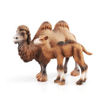 野生动物模型 长颈鹿熊猫袋鼠棕熊梅花鹿 儿童认知玩具3-10岁 二只骆驼