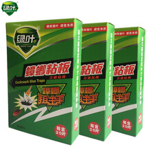 绿叶蟑螂粘板 蟑螂药 蟑螂粘板 物理杀灭蟑螂贴杀蟑螂连窝端 20片/盒