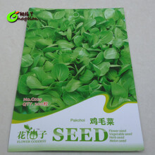 纳格兰 鸡毛菜种子 家庭蔬菜种子 鸡毛菜 种子 200粒 阳台种菜籽