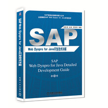 SAP Web Dynpro For JAVA开发技术详解