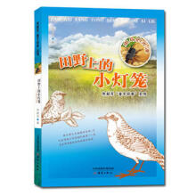 焦耐芳“童年旧事”系列 田野上的小灯笼——虫鸟的光泽