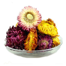 七彩菊 七彩藏菊 菊花 花茶500g