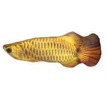 宠物玩具猫咪玩具 逗猫棒 猫咪互动玩具猫薄荷 猫咪用品 猫咪抱枕 薄荷鱼玩具 金龙鱼60cm