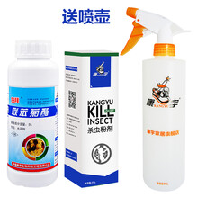 康宇白蚁杀虫剂 家用飞蚂蚁诱杀白蚁药粉白蚂蚁全窝端喷雾剂