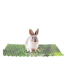 ELITE兔笼脚垫豚鼠垫兔子脚垫荷兰猪垫底板龙猫脚垫 特大号58*40