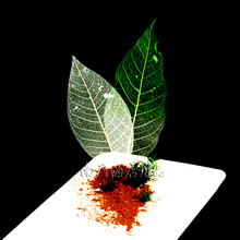 南屋 蝉翼叶创意餐具造景者小桶意境菜盛器酒店餐厅会所用品厨师工具盘饰点缀分子美食料理盘仿真网红泥土 蝉翼叶50片