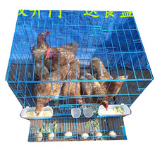 家用鸡笼 养鸡笼子 大号 蛋鸡笼 小号养殖家用 母鸡笼子 折叠鸡笼 阳台鸡笼 大号铁皮食盒折叠