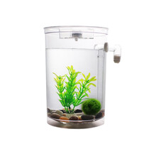 绿伴 塑料小鱼缸迷你缸圆柱形鱼缸办公桌面免换水创意小型金鱼缸水族箱泰国斗鱼缸 圆形缸标配+绿藻球