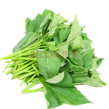 湘贞缘农庄   农家新鲜地瓜叶 番薯叶 红薯叶 白薯叶尖 新鲜 1.5kg