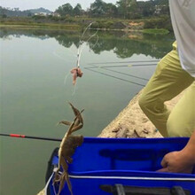 钓螃蟹钩抓螃蟹工具套圈钓大闸蟹赶海专用钩捉蟹青蟹渔具 螃蟹圈3个