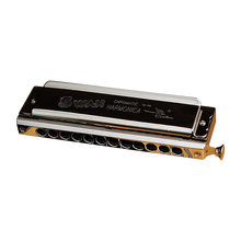 天鹅（SWAN） 半音阶口琴SW1040初学高级成人儿童学生初学者男女专业演奏比赛乐器 【拍下打折】天鹅12孔48音半音阶