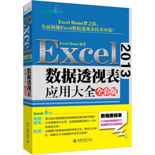Excel 2013数据透视表应用大全（全彩版）