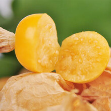 寿禾 东北姑娘果灯笼果种子 洋菇娘水果甜大黄姑娘 黄金莓盆栽蔬菜小番茄阳台盆栽种菜四季种籽种苗 大黄菇娘种子 5g装