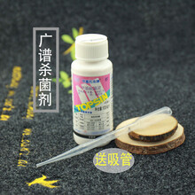 广谱杀菌剂甲基硫菌灵 治疗黑星黑斑炭疽叶斑病多肉花卉植物适用 广谱杀菌剂100ml