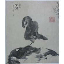 书籍图片