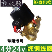 汽车淋水器配件 货车滴水刹车放水阀电磁淋水阀4分24v纯铜电磁阀 4分铜线圈24v