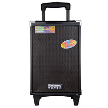 特美声A8户外8寸广场舞锂电池插卡拉杆便携大功率门店移动音响箱 升级版+2手麦