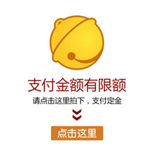 生命动力按摩椅零件订金  链接 红色