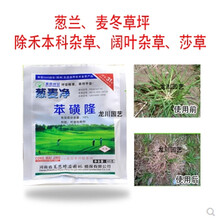 麦冬除草剂 包邮坪安31号葱麦净 兰花三七葱兰除禾本莎草阔叶杂草