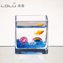 正方形玻璃鱼缸中小型金鱼缸客厅懒人桌面乌龟缸造景迷你水族箱 小号棒棒糖套餐