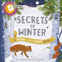 Secrets Of Winter: Hold The Page To The