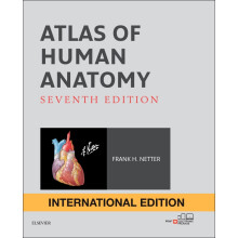 Atlas of Human Anatomy, International Edition人体解