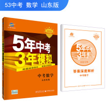 五三 中考数学 山东专用 5年中考3年模拟 2019中考总复习专