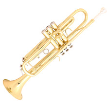 里歌 LIGE初学练习入门小号乐器 LTR-601