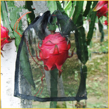 百万葵园 尼龙网袋尼龙种子袋浸种袋袋子防虫袋果树火龙果套袋 55*35白色100条