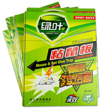 绿叶 8张厚硬板粘鼠板老鼠贴家用捕鼠器驱鼠灭鼠器药老鼠夹 8枚装神器