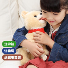 IWAYA 日本 会舔人的小狗 电动玩具狗 泰迪柴犬秋田犬大号智能儿童狗会走会叫会摇尾巴伸舌狗 俊介 送充电套装+狗绳+大铃铛