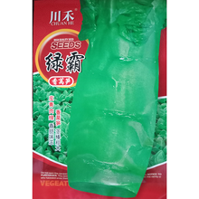 民汇园 大田阳台盆栽蔬菜种子 绿霸香莴笋种子 青笋种子 青皮青肉香脆 晚秋耐寒冬季栽培10克