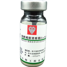 鸡用疫苗 鸡新城疫活疫苗 新城疫4系四系疫苗 La Sota株 Ⅳ系 鸡瘟疫苗 1000羽份/瓶