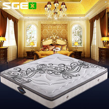 圣恩西 Sgex 京东