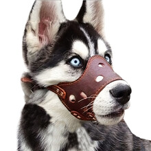 哈特丽 狗狗嘴套狗口罩防咬防叫中大型犬止吠器防乱吃泰迪金毛萨摩耶狗罩狗套颜色随机 XL-较大型（100斤以内）