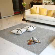 奥美力 地毯客厅卧室满铺茶几垫床边卧室房间满铺地毯办公室床前茶几毯床边毯纯色现代简约 升级款浅灰色 0.7*1.4米（1平方）