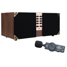 伊诺（ENO） 伊诺CL60古筝古琴60W蓝牙大功率音箱扩音器二胡琵琶民乐舞台音响 CL-60民乐蓝牙音箱+古筝拾音器+6米连接线