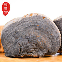 敬贤堂 长白山裂蹄层孔菌 林下灵芝裂蹄层 裂蹄灵芝 裂蹄孔菌500g