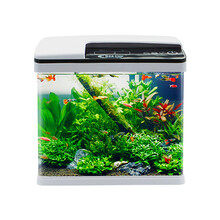 SEA STAR 鱼缸水族箱 智能变色生态金鱼缸客厅小型玻璃迷你小型热带鱼创意 520F巨划算套餐