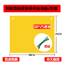 粘虫板双面强力诱虫板黄板篮板大棚果园家用小黑飞白粉虱蓟马 黄板30*25cm覆纸20张大号