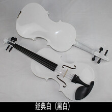 派尼美特小提琴初学者练习儿童练习考级小提琴配配全套老师教学网红酒店抖音 经典白(黑白)1/4