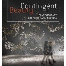 Contingent Beauty: Contemporary Art from Latin America美容队伍: 美国当代艺术