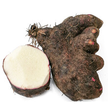 紫皮白心薯 新鲜现挖脚板薯 大薯毛薯紫玉淮山药 5kg