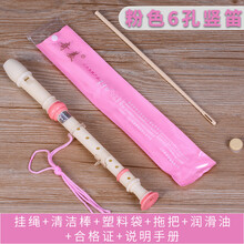 奇美高音德式竖笛6孔8孔学生儿童初学者六孔八孔成人零基础竖笛子 粉色6孔标配