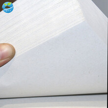 一播大地 菜芽苗菜种子萝卜黄豆红豆豆麻豆油葵小白菜空心菜芽机种子小麦大麦育苗盘育苗架 育苗纸50张