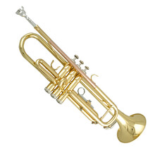 美德威 普及款小号乐器 入门降B调小号 管乐团/乐队专用 MTR-500/MTR-501 双色MTR-501