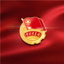 谋福 L9521 团徽徽章 中国共青团别针款 9个装