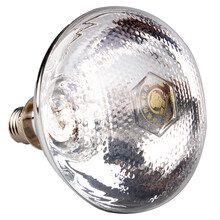 猪博士保温灯仔猪保温灯泡 养殖取暖灯加热灯250W 10个