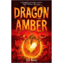 Dragon Amber 进口故事书